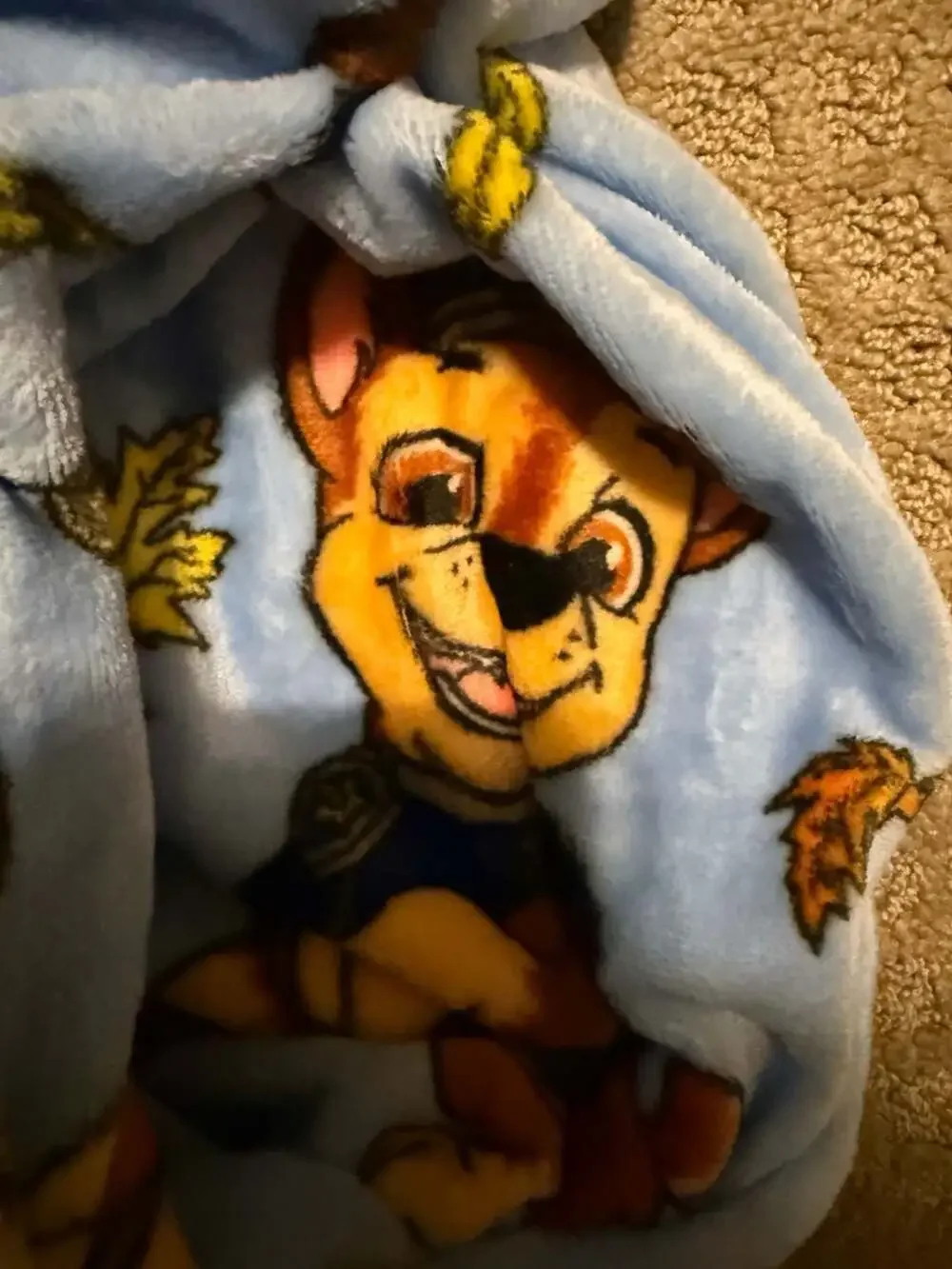 Paw Patrol Fall Frenzy Silk Touch Throw Blanket 40in x 50in